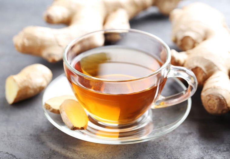 Is Ginger And Honey Tea Good For You | 5 Amazing Health Benefits.
